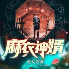 麻衣神婿(多人剧)有声小说
