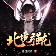 北境强龙有声小说