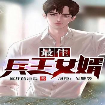 最佳兵王女婿(多人剧)有声小说