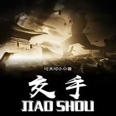 交手by可大可小有声小说