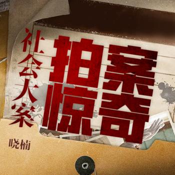 大案要案实录有声小说