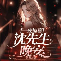 一夜惊喜：沈先生，晚安有声小说