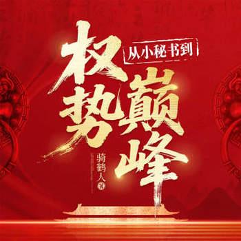 官场：从小秘书到权势巅峰(多人剧)有声小说