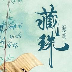 藏珠(多人剧)有声小说