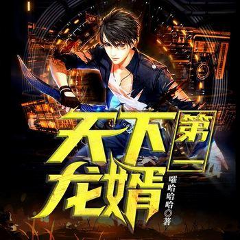 地摊王至尊龙婿(多人剧)有声小说