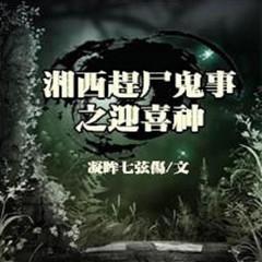 湘西赶尸惊魂(多人剧)有声小说