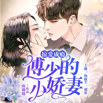 掠爱成瘾：傅少的小娇妻有声小说