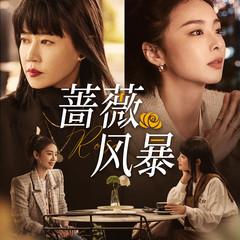 蔷薇风暴(多人剧)有声小说