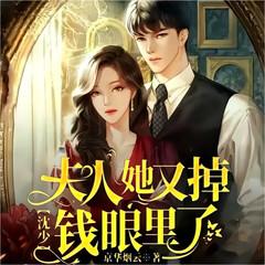 沈少，夫人她又掉钱眼里了有声小说