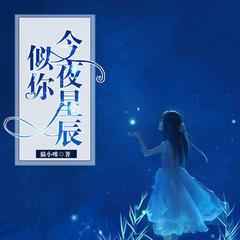 今夜星辰似你有声小说