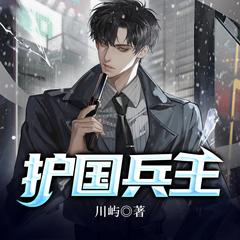护国兵王有声小说