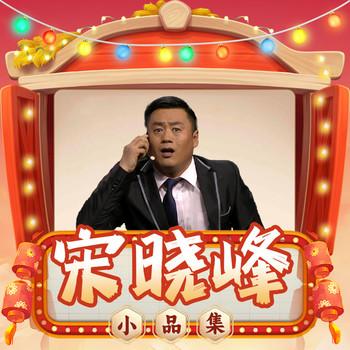 宋晓峰小品集(多人剧)有声小说