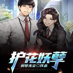 护花妖孽有声小说