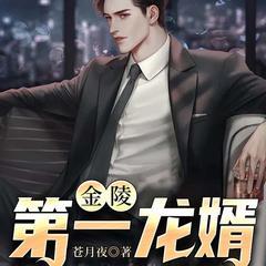 上门佳婿(多人剧)有声小说