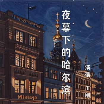 王刚夜幕下的哈尔滨(多人剧)有声小说