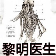 黎明医生有声小说